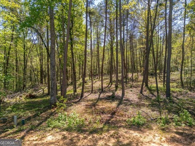 This exceptional estate-sized homesite offers a rare opportunity - photo 11