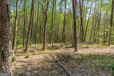 This exceptional estate-sized homesite offers a rare opportunity - photo 13