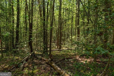 This exceptional estate-sized homesite offers a rare opportunity - photo 16