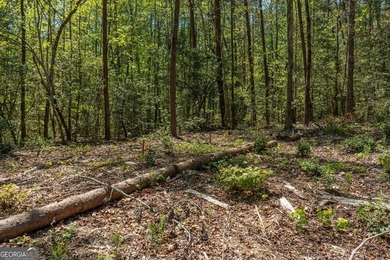 This exceptional estate-sized homesite offers a rare opportunity - photo 17