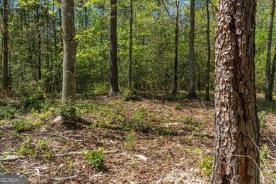 This exceptional estate-sized homesite offers a rare opportunity - photo 18