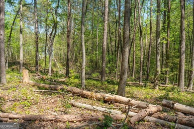 This exceptional estate-sized homesite offers a rare opportunity - photo 19