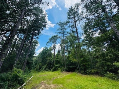 Situated on 13.3 acres of lush, rolling land in the Lexie - photo 36