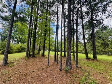 Situated on 13.3 acres of lush, rolling land in the Lexie - photo 37