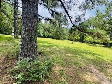 Situated on 13.3 acres of lush, rolling land in the Lexie - photo 39