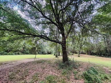Situated on 13.3 acres of lush, rolling land in the Lexie - photo 44