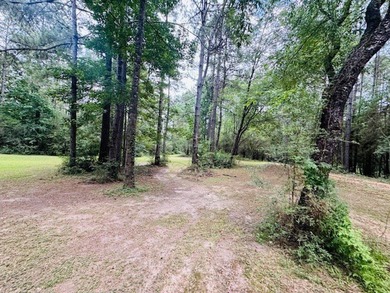 Situated on 13.3 acres of lush, rolling land in the Lexie - photo 45
