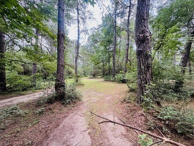 Situated on 13.3 acres of lush, rolling land in the Lexie - photo 46
