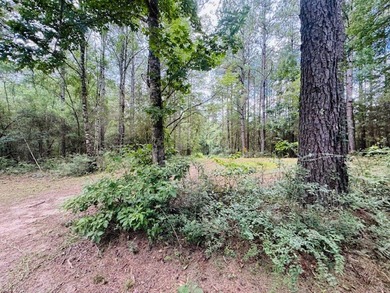 Situated on 13.3 acres of lush, rolling land in the Lexie - photo 47