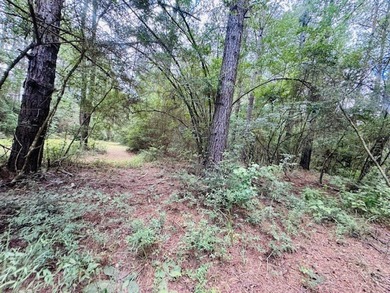 Situated on 13.3 acres of lush, rolling land in the Lexie - photo 48