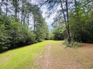 Situated on 13.3 acres of lush, rolling land in the Lexie - photo 49
