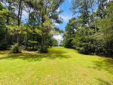Situated on 13.3 acres of lush, rolling land in the Lexie - photo 50