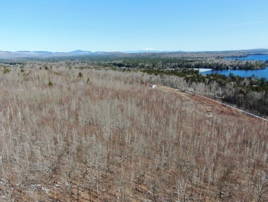 Schoodic Lake Acreage For Sale in Brownville Maine