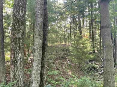 Mill Pond Lot For Sale in Wautoma Wisconsin