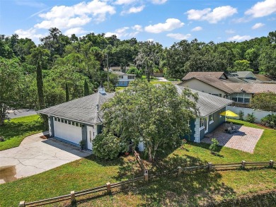 Lake Franklin  Home For Sale in Mount Dora Florida