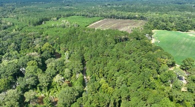 AMAZING MUST SEE TO BELIEVE! A country estate, a family retreat - photo 31