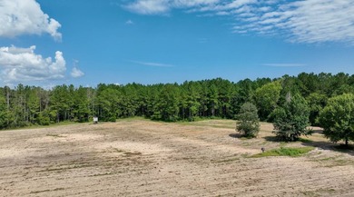 AMAZING MUST SEE TO BELIEVE! A country estate, a family retreat - photo 39