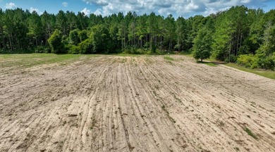 AMAZING MUST SEE TO BELIEVE! A country estate, a family retreat - photo 42