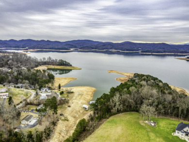 Lakefront Living with Privacy and Views on Cherokee Lake - photo 7