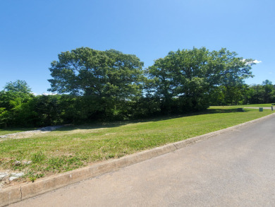 Lakefront Living with Privacy and Views on Cherokee Lake - photo 8