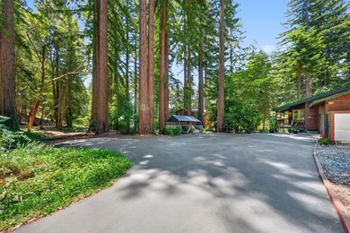 Mountain living without the steep mountain roads! Located on - photo 13