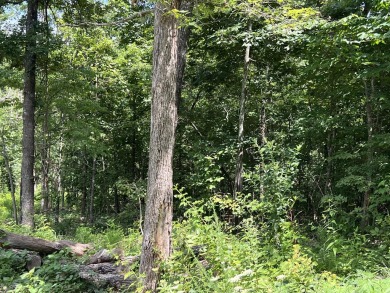 (private lake, pond, creek) Acreage For Sale in Mammoth Spring Missouri