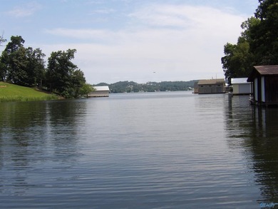 Waterfront home, Signal Point community, Guntersville city - photo 38