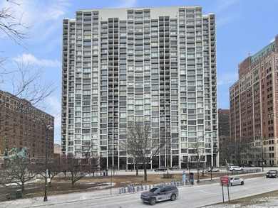 Lake Michigan - Cook County Condo For Sale in Chicago Illinois