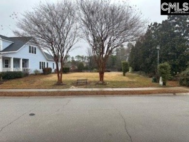 Lake Lot For Sale in Lexington, South Carolina