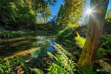 This 137 ac tract is a unique live-water property, offering - photo 8