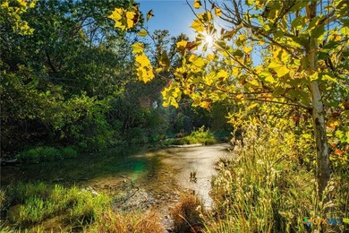This 137 ac tract is a unique live-water property, offering - photo 10