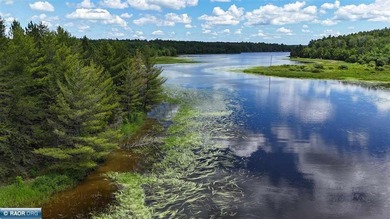 This 40-acre boat access property with 1440 ft of gradual - photo 11