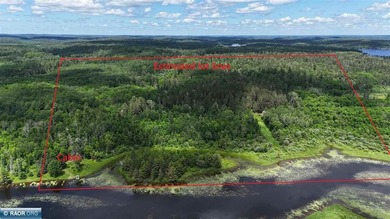 This 40-acre boat access property with 1440 ft of gradual - photo 12