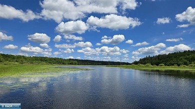 This 40-acre boat access property with 1440 ft of gradual - photo 13