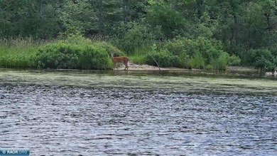 This 40-acre boat access property with 1440 ft of gradual - photo 14