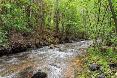 Garden Valley Paradise! Come join nature on a year around - photo 5