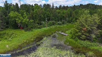 This 40-acre boat access property with 1440 ft of gradual - photo 16
