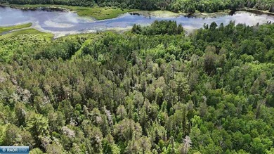 This 40-acre boat access property with 1440 ft of gradual - photo 17