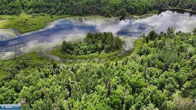 This 40-acre boat access property with 1440 ft of gradual - photo 19