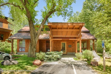 (private lake, pond, creek) Commercial Active Under Contract in Basalt Colorado