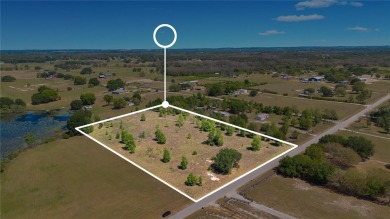 Lake Acreage For Sale in Groveland, Florida