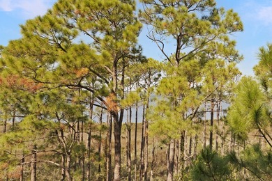 End unit residence providing unmatched privacy with no neighbors