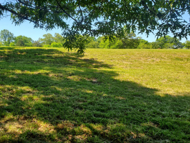 Lakefront Living with Privacy and Views on Cherokee Lake - photo 17
