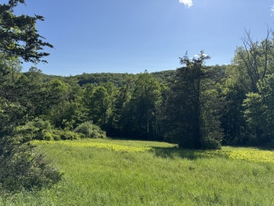 Lake Acreage For Sale in Sherman, Connecticut