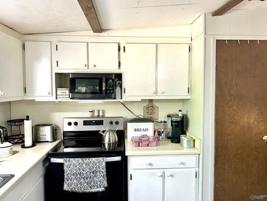 Enjoy lakeside living in this charming 3-bed / 1.5-bath mfg home - photo 21