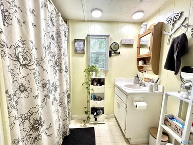 Enjoy lakeside living in this charming 3-bed / 1.5-bath mfg home - photo 38