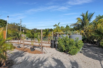 Prime Lower Keys Commercial Property for sale on Ramrod Key. 3 - photo 44