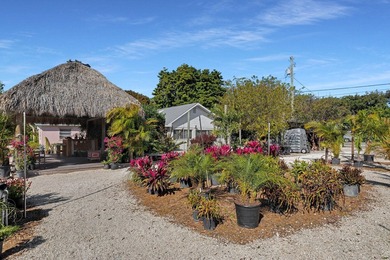 Prime Lower Keys Commercial Property for sale on Ramrod Key. 3 - photo 45