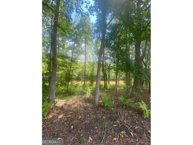 (private lake, pond, coastal) Acreage For Sale in Ball Ground Georgia