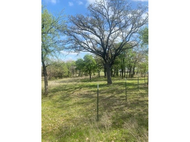 (private lake, pond, creek) Acreage For Sale in Boyd Texas